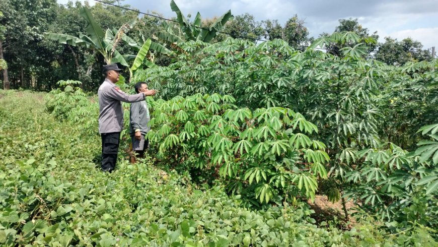 Bhabinkamtibmas Ajak Warga Menanam Tanaman Pangan di Polybag